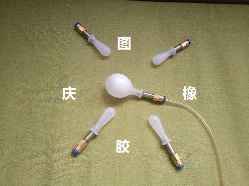 ç¡æ©¡è¶åæ°å¯å°å